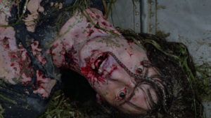Sleepaway Camp (Robert Hiltzik)