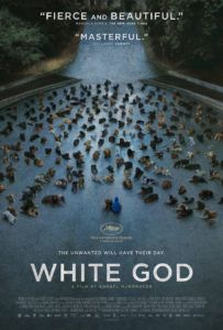 White God (Kornél Mundruczó)