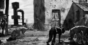 Canis (Marc Riba y Anna Solanas)
