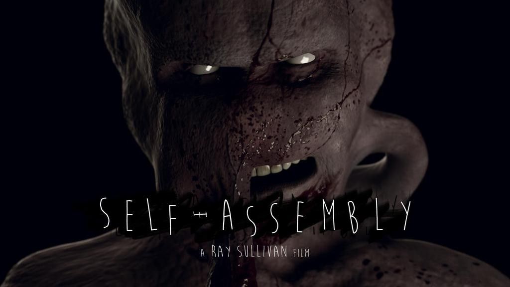 Self Assembly (Ray Sullivan)