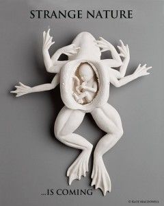 Strange Nature (Jim Ojala)
