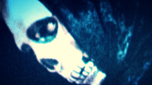 Mortal Remains (Christian Stavrakis & Mark Ricche)