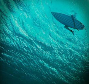 The Shallows (Jaume Collet-Serra)