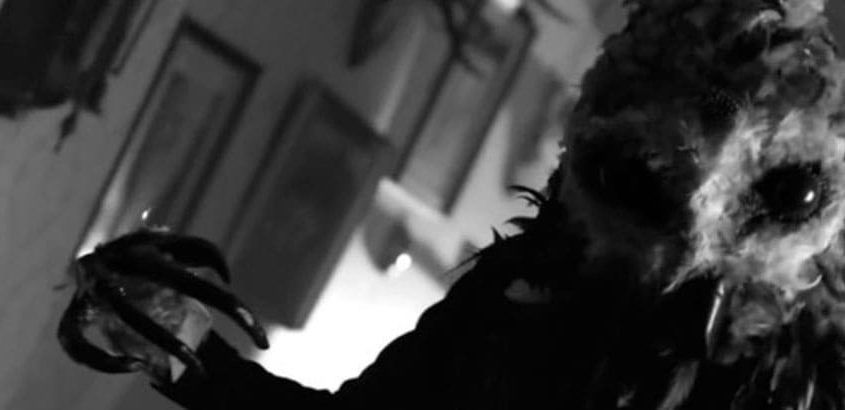The Black Gloves (Lawrie Brewster)