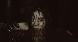 Dédalo (Jerónimo Rocha)