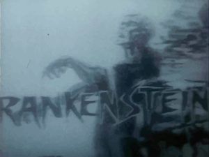 Frank Stein (Iván Zulueta)