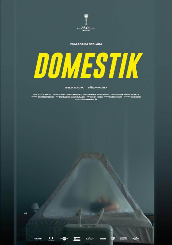 Domestik (Adam Sedlák)