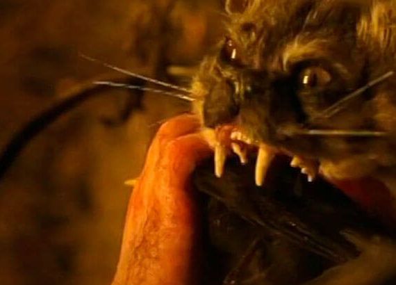 The Cat With Hands (Robert Morgan)