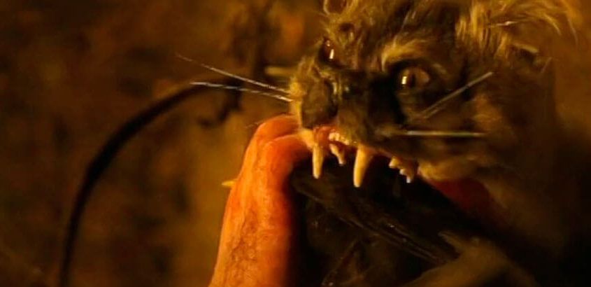 The Cat With Hands (Robert Morgan)