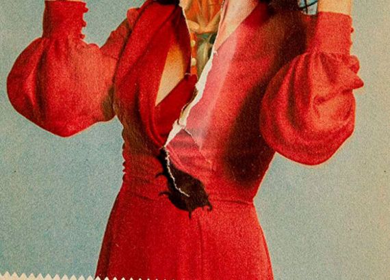 In Fabric (Peter Strickland)