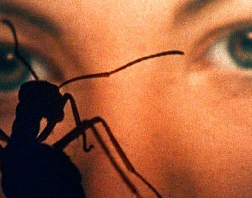 Sucesos en la IV fase (Saul Bass)