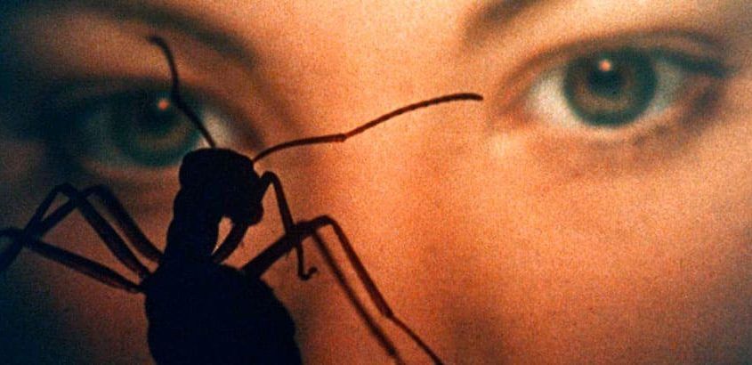 Sucesos en la IV fase (Saul Bass)