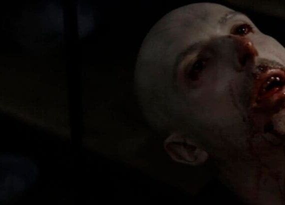 Vampir (Branko Tomovic)