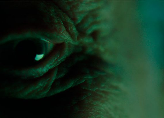 Nocturna. Lado A: La noche del hombre grande (Gonzalo Calzada)