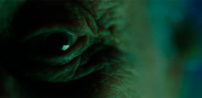 Nocturna. Lado A: La noche del hombre grande (Gonzalo Calzada)