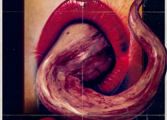 Revealer (Luke Boyce)