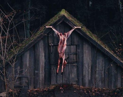The Devil’s Bath (Veronika Franz, Severin Fiala)