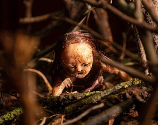 Stopmotion (Robert Morgan)