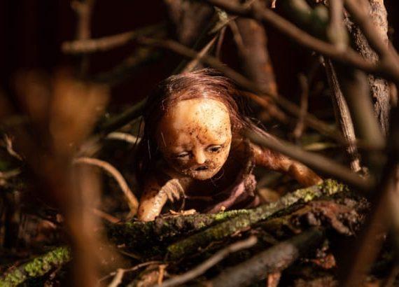 Stopmotion (Robert Morgan)