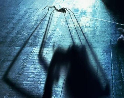 Sting - Araña asesina (Kiah Roache-Turner)