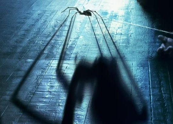 Sting - Araña asesina (Kiah Roache-Turner)