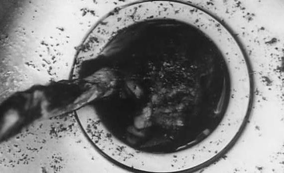 Kitchen Sink (Alison Maclean)
