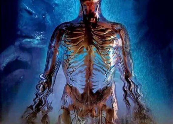 Body Melt (Philip Brophy)