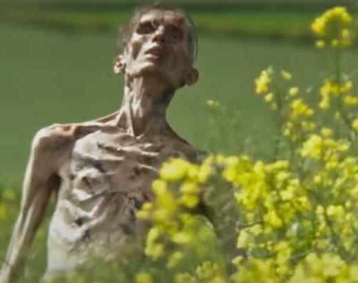 28 Años Después (Danny Boyle)