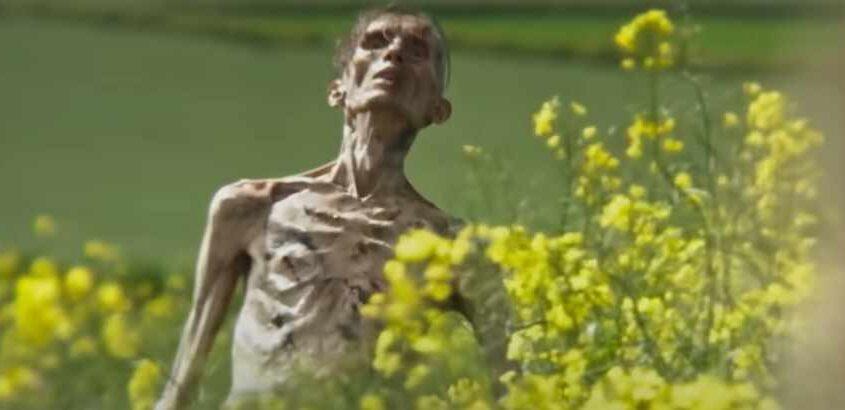 28 Años Después (Danny Boyle)