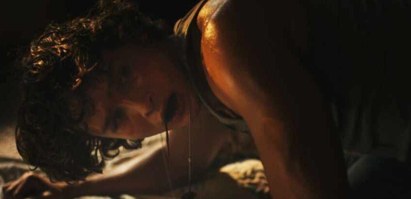 Bleeding (Andrew Bell)