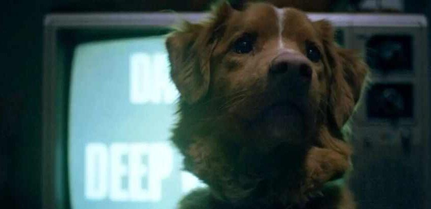 Good Boy (Ben Leonberg)