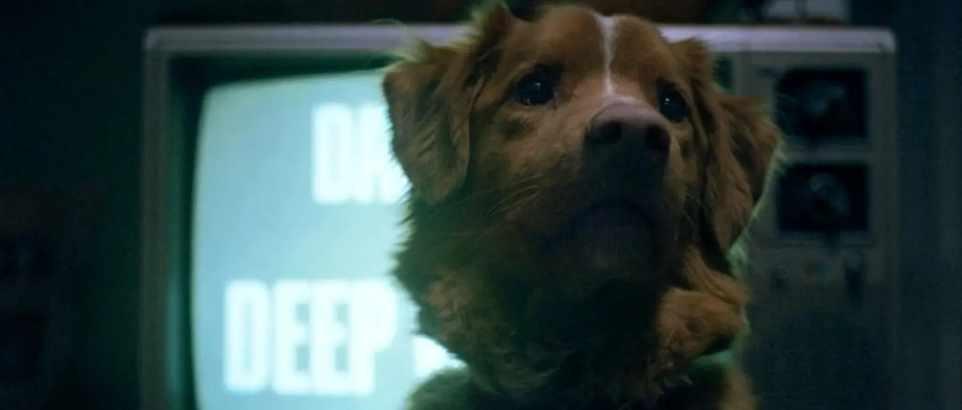 Good Boy (Ben Leonberg)