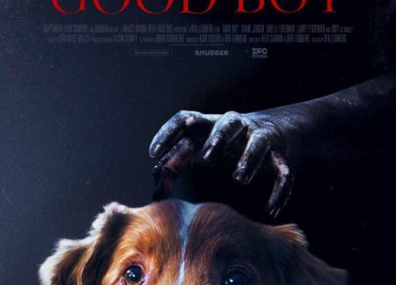 Good Boy (Ben Leonberg)