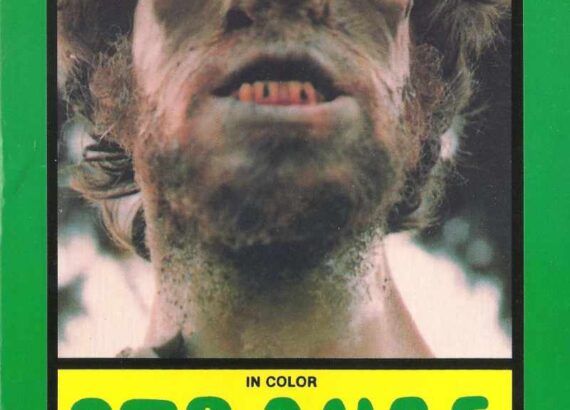 The Visitant (Paul Bunnell)