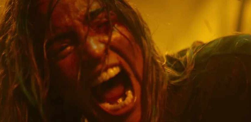 Posesión infernal: En llamas (Sébastien Vanicek)