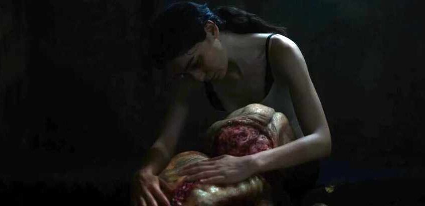 Mutter: The Diary of a Mother (Alphan Eseli)