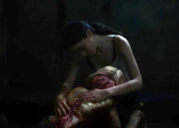 Mutter: The Diary of a Mother (Alphan Eseli)